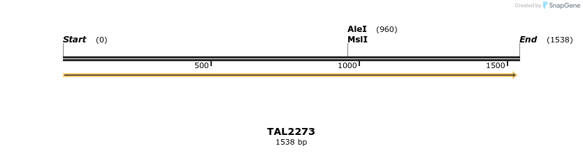 45903_map