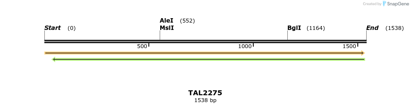 45905_map