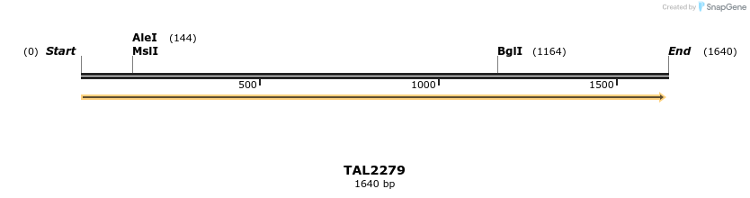 45907_map