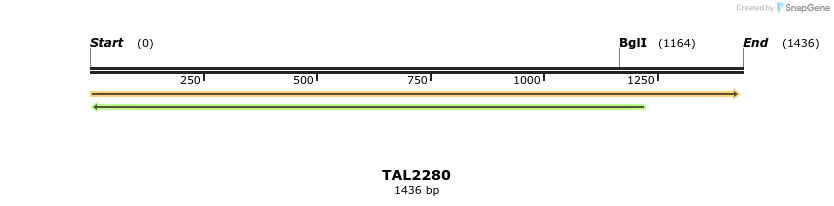 45908_map