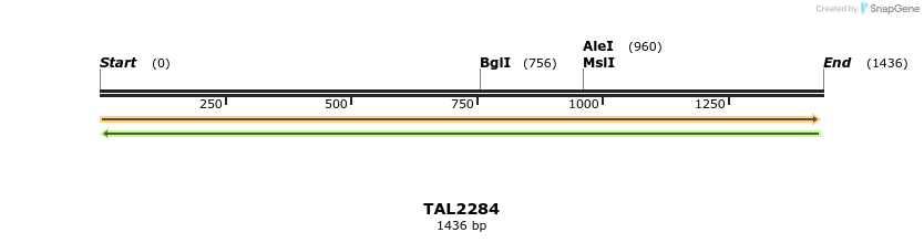45912_map