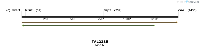 45913_map