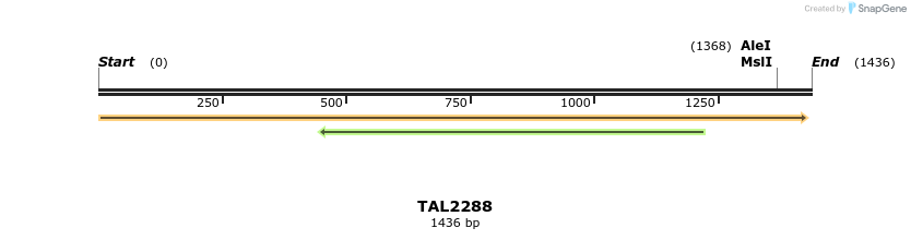 45916_map