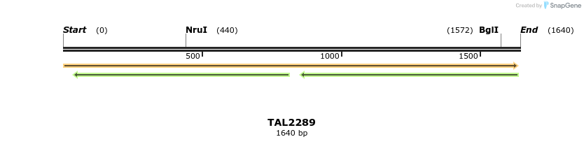 45917_map