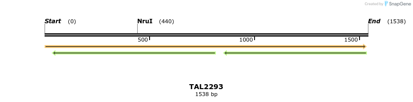 45919_map