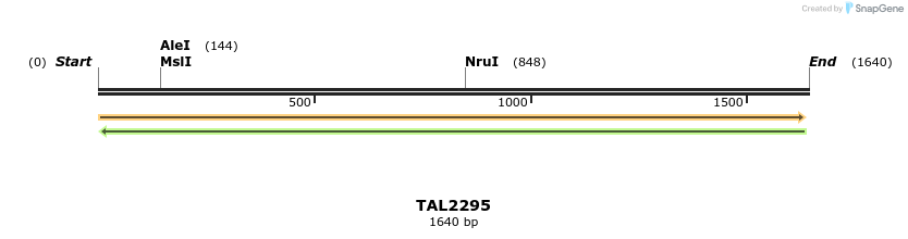 45921_map