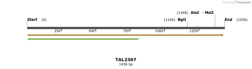 45928_map