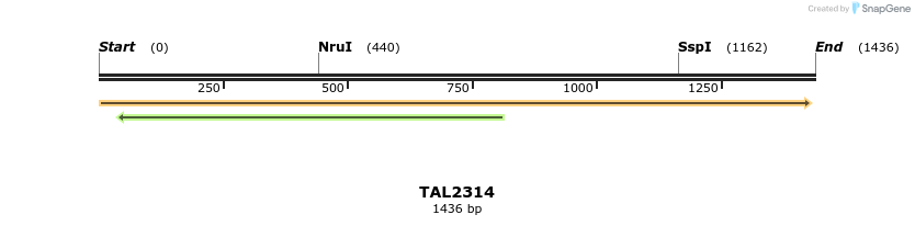 45933_map