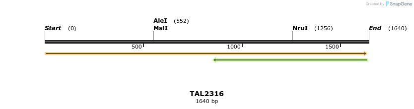 45935_map