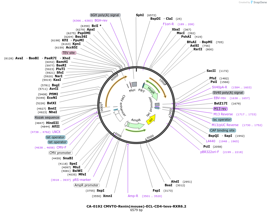 459401_map