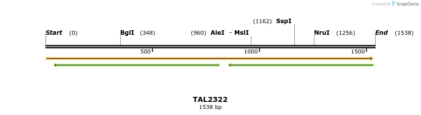 45941_map