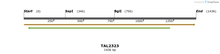 45942_map
