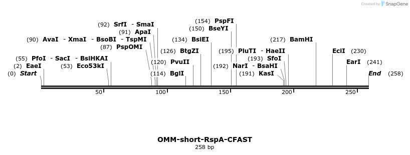 459424_map
