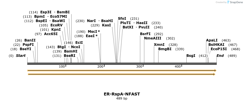 459425_map