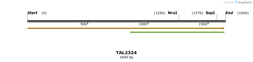 45943_map