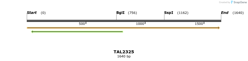 45944_map