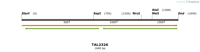 45945_map