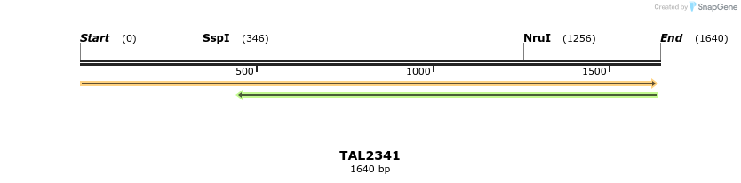 45954_map