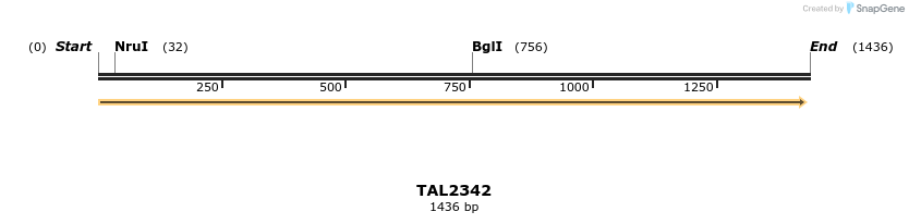 45955_map