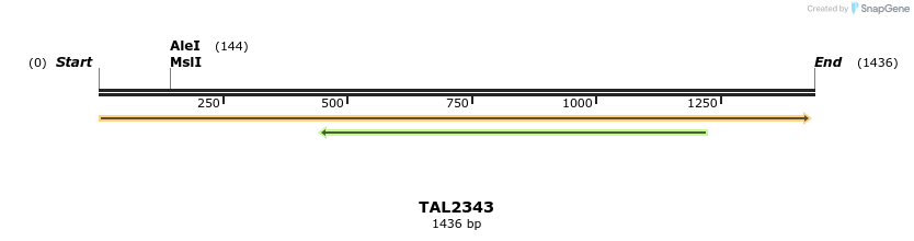 45956_map