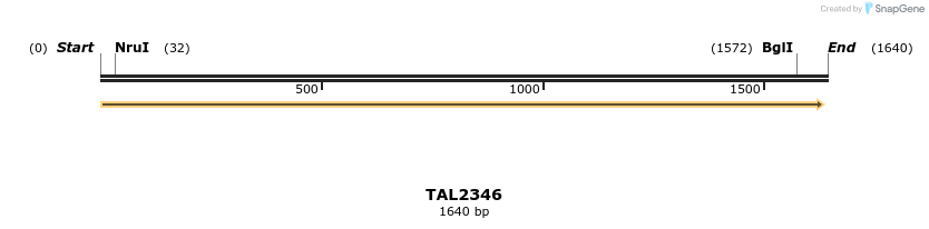 45959_map
