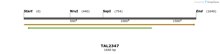 45960_map