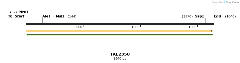 45962_map