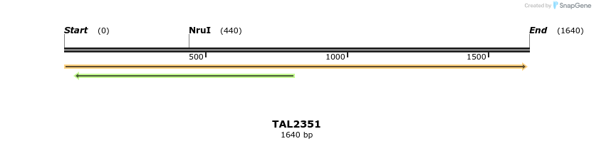 45963_map