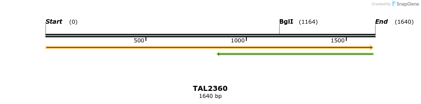 45966_map