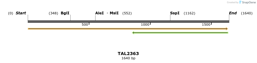 45969_map