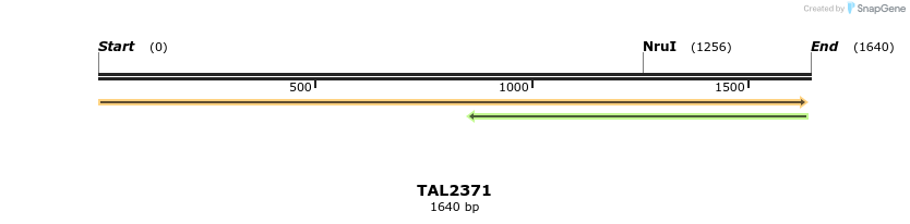 45975_map