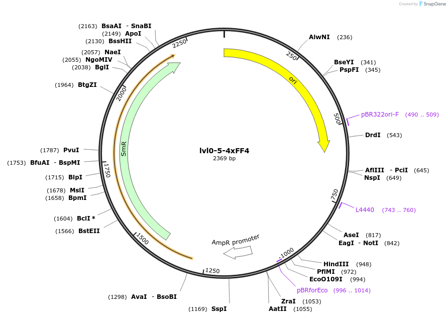 229170-plasmid-map-sequence-id-459756