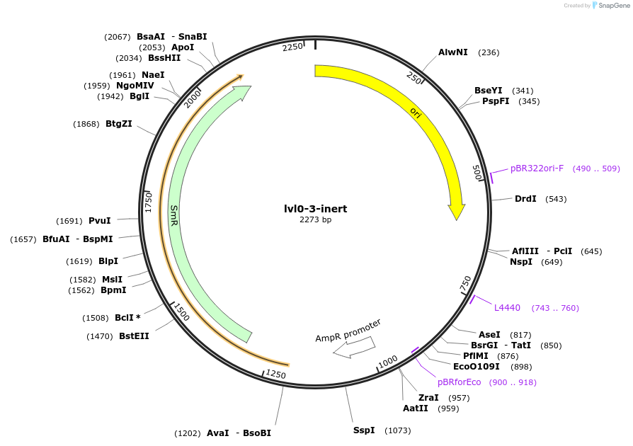 229190-plasmid-map-sequence-id-459777