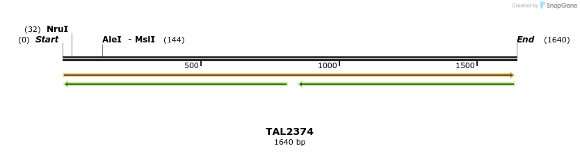 45978_map
