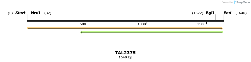 45979_map