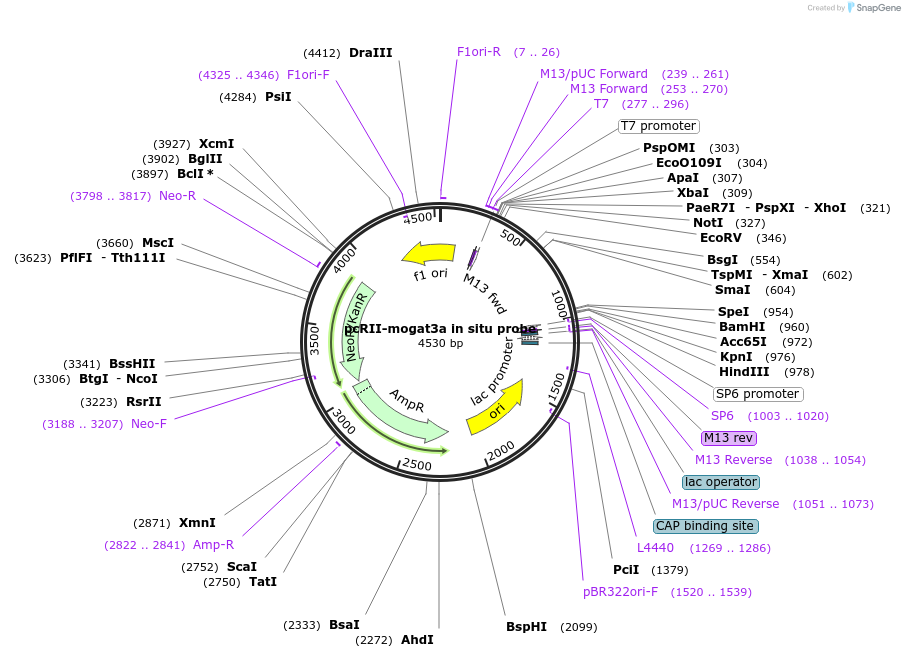 459797_map