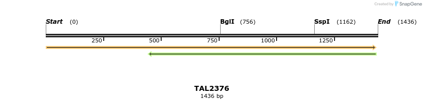 45980_map