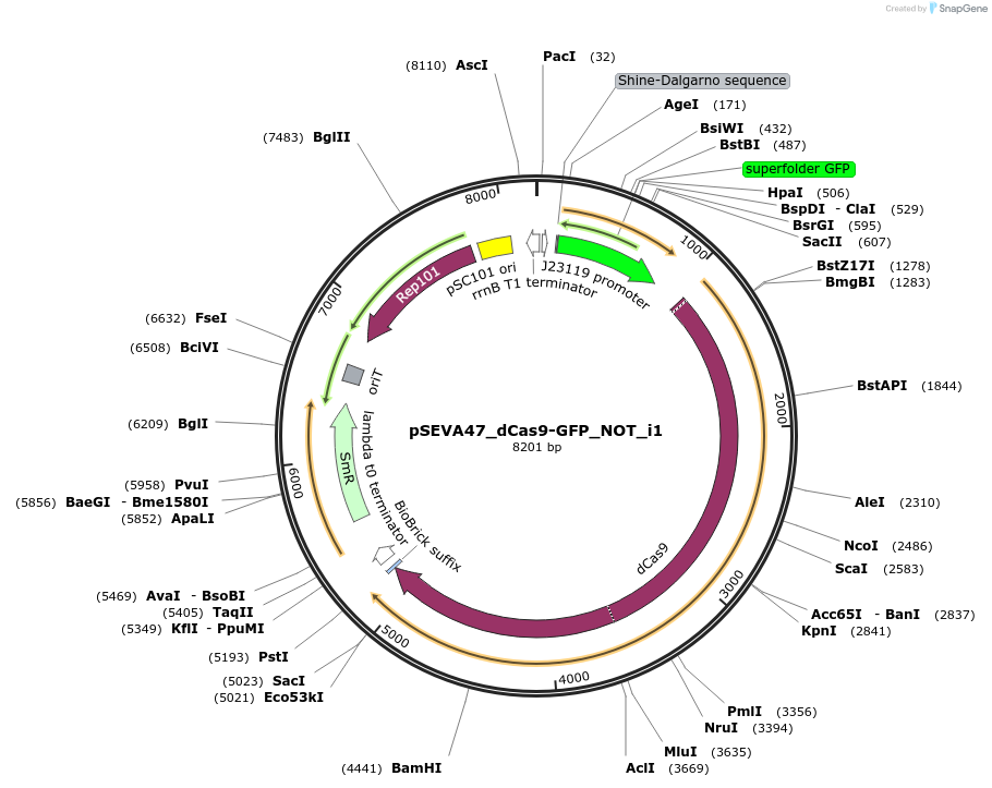 459804_map