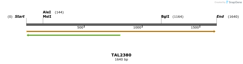 45982_map