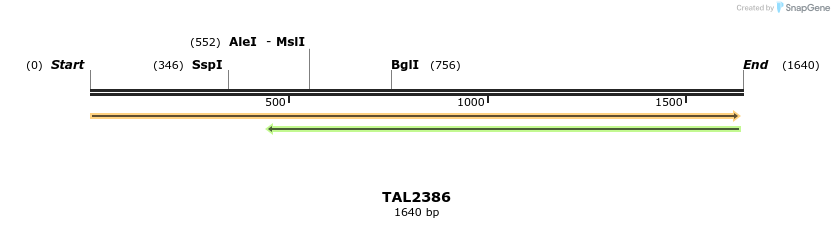 45988_map