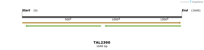 45990_map