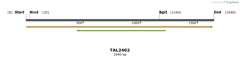 45998_map
