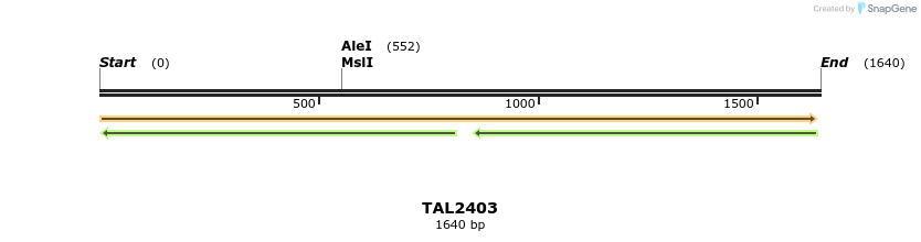 45999_map