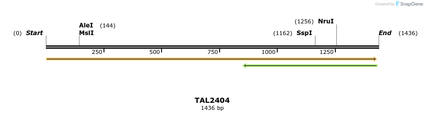 46000_map