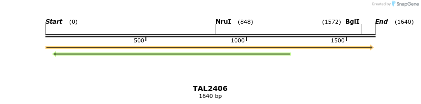 46002_map
