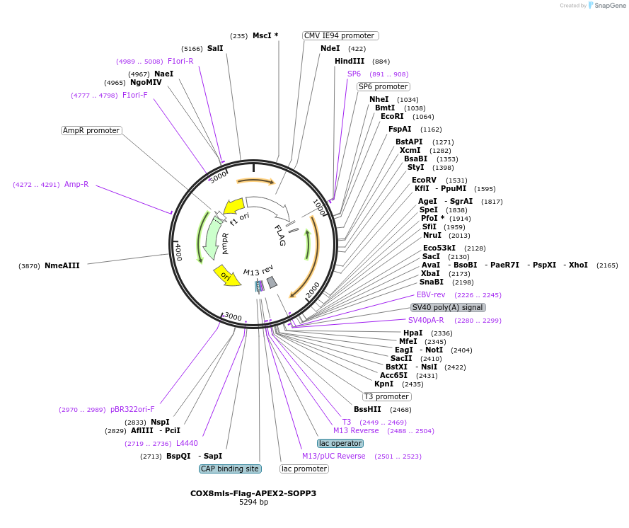 460058_map