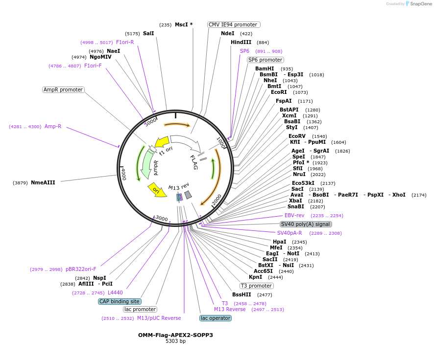 460059_map
