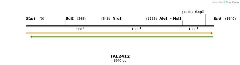 46006_map