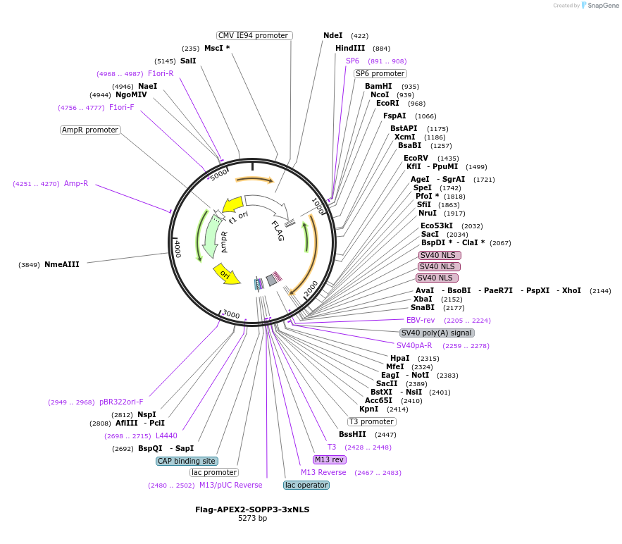 460060_map