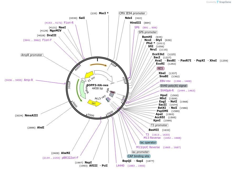 460061_map